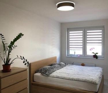 Dolni Mecholupy Apartment | Apartment Little Hill