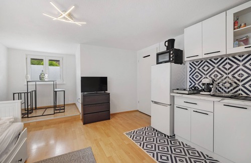 Schlatt Apartment | Apartment 'M B Homes Schlatt' with Lake View, Shared Terrace and Wi-Fi
