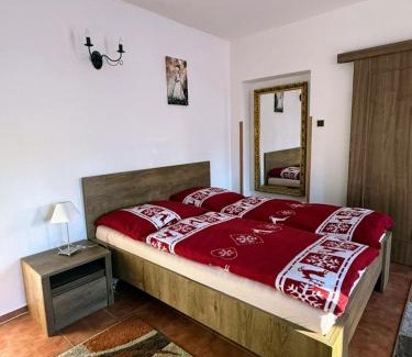 Lipno nad Vltavou Apartment | Apartment Marta