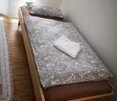 Gallus Apartment | Apartment near fair and central City in few min, with garden