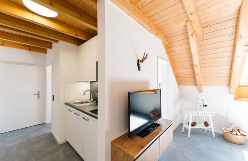 Simonswald Apartment | Apartment no. 23 - Modern vacation apartment, 57sqm, 1 bedroom, 1 living/bedroom, max. 3 persons