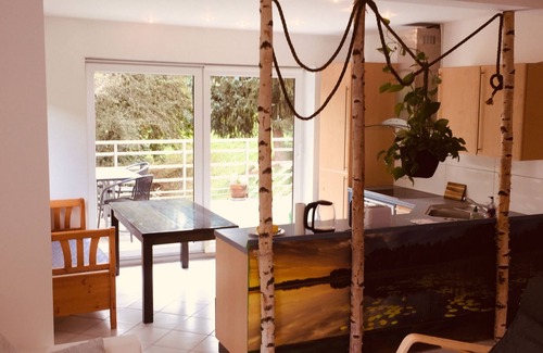 Hirschhorn Apartment | Apartment no.3 climatic health resort, pearl of the Neckar valley
