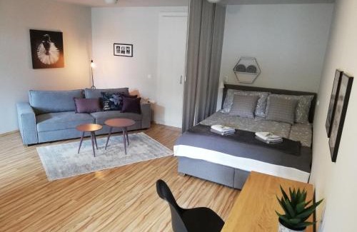 Celje Apartment | Apartment Nobl plac