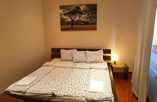 Kosice Old Town Apartment | Apartment Oasis in the Old Town