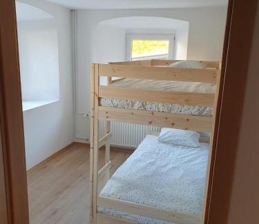 Trzic Apartment | Apartment old house Koren