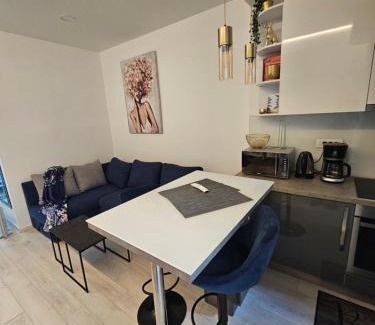 Rijeka Apartment | Apartment Oliver