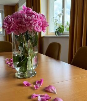 Vorchdorf Apartment | Apartment Römerhaus