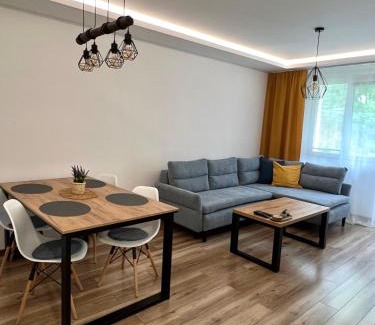 Radvan Apartment | Apartment R&L Švermová - 2 min ESC, balcony