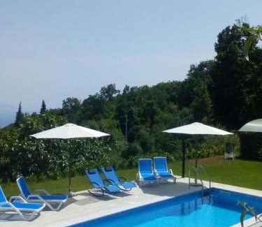 Zagore Apartment | Apartment Rea with Pool