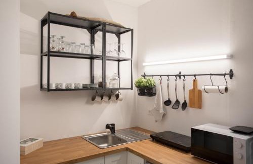 Solkan Apartment | APARTMENT SAPICA