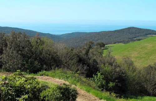 Nibbiaia Apartment | Apartment Sassogrosso in Nibbiaia - 2 persons, 1 bedrooms