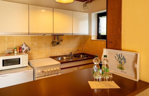 Gemuenden Apartment | Apartment Schmidt - apartment/apartment, shower, toilet, quiet
