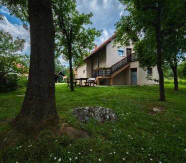 Catrnja Apartment | Apartment Smoljanac 14979a
