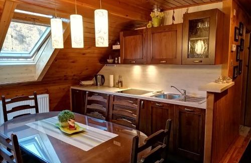 Dolenja Trebusa Apartment | Apartment Sotočje