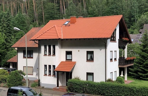 Elmstein Apartment | Apartment-Superior-Private Bathroom-Terrace-Ferienwohnung 1 im EG