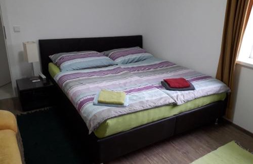 Steyr Apartment | APARTMENT Top1, 2 Schlafzimmer 3 Betten BESTROOMS eU