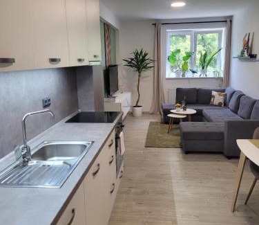 Bohemian-Moravian Highlands Apartment | Apartment u Ježků