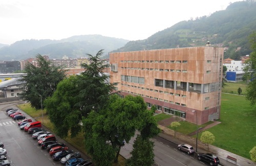 Mieres del Camino Apartment | apartment vega de arriba mieres