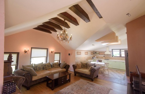 Otopeni Apartment | Apartment Vila Ramona