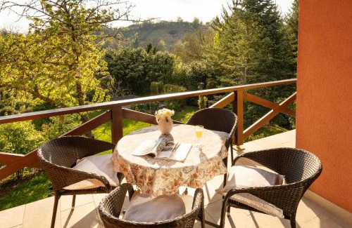 Krapinske Toplice Apartment | Apartment Villa Ema