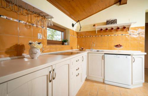 Krapinske Toplice Apartment | Apartment Villa Ema