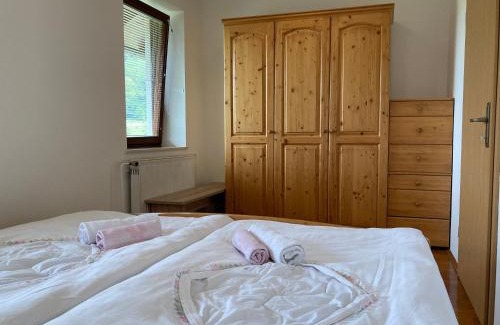 Praprotna Polica House | Apartment Vrtacnik