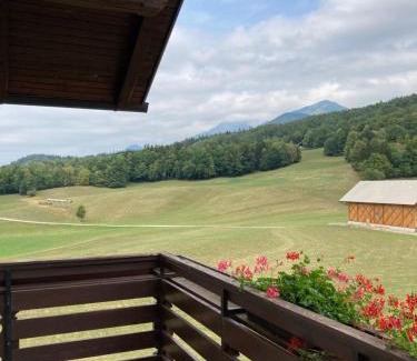 Praprotna Polica House | Apartment Vrtacnik