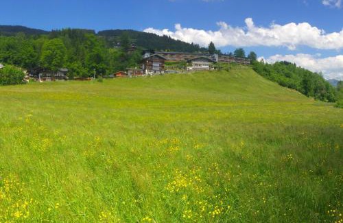 Kitzbuehel Apartment | Apartment Weinberg