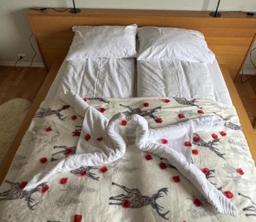 Alesund Apartment | Apartment with a beautiful view in the center of Ålesund