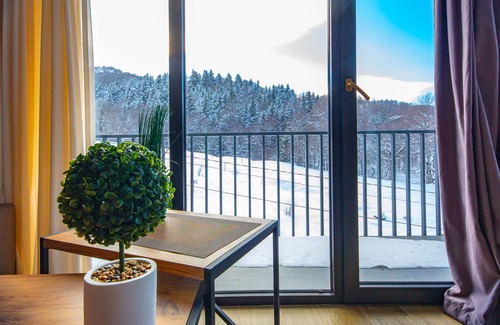 Bakuriani Apartment | Apartment with amazing view on Didveli