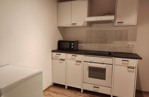 Wiesloch Apartment | Apartment with kitchen, bathroom and terrace