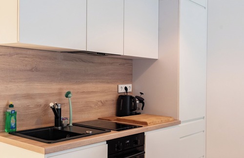 Leipziger Vorstadt Apartment | Apartment with terrace in Dresden Neustadt - your stylish temporary home