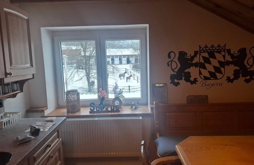 Wald Apartment | Apartment 'Wohnung Aussicht' with Wi-Fi