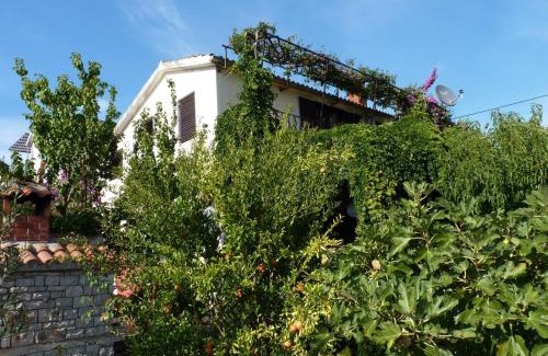 Maslinica Apartment | Apartment Zeljko