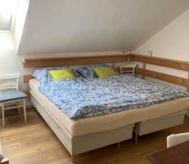 Turnov Apartment | Apartments Šimákova Vila