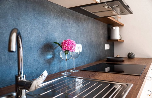 Vidrga Apartment | Apartments and Rooms Bama