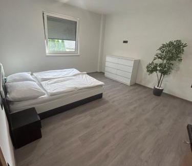 Srednja Vas v Bohinju Apartment | Apartments Ema