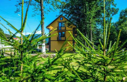 Polyana Apartment | Apartments in Polyana