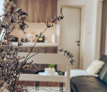 Idrija Apartment | Apartments Ivanović