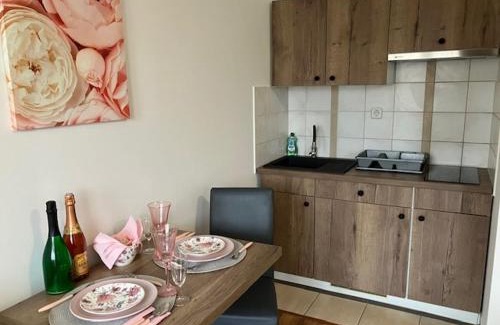 Spodnja Hajdina House | Apartments-rooms Vogrinec