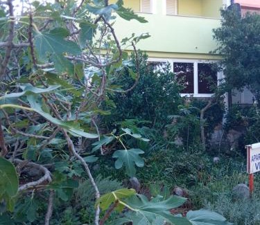 Ribarica Apartment | Apartments Vesna