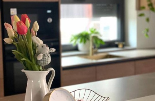 Hajdina Apartment | Apartments Wally - Superior One-Bedroom Apartment with Balcony