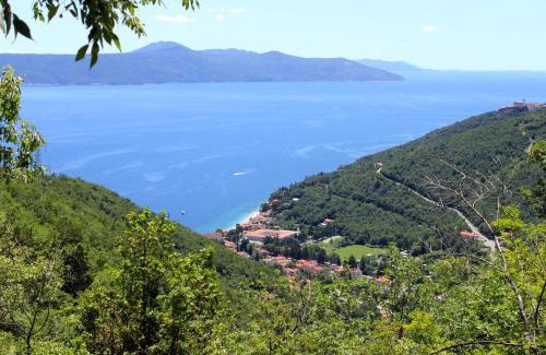 Sucici Apartment | Apartments with parking space Moscenicka Draga, Opatija - 7746