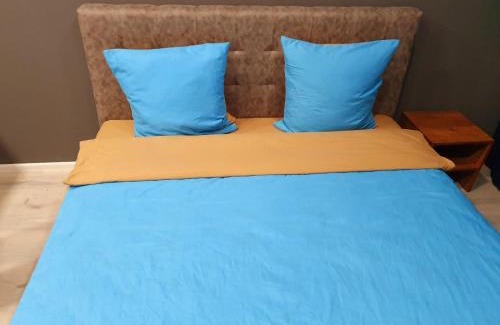 Uzhhorod Apartment | Apartservice in Uzhgorod s39