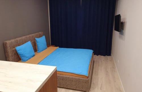 Uzhhorod Apartment | Apartservice in Uzhgorod s39