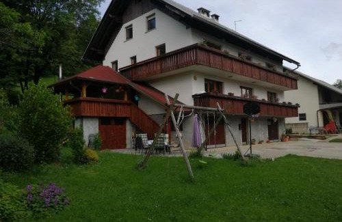Cerklje na Gorenjskem Apartment | Apatmaji Pika 2