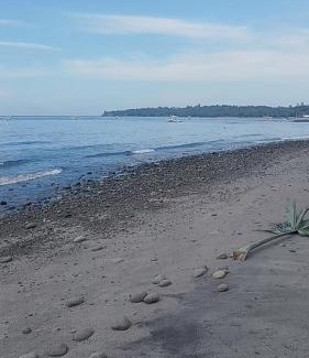Luzon Resort | Apo Breeze Resort