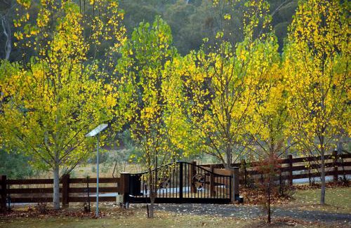 Bonnie Doon House | Appalachian High Country Retreat