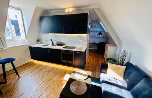 Quartier Saint-Clement - Jardin des Plantes Apartment | Appart Rouen Jardin des plantes