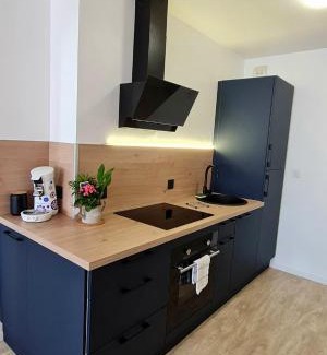 Centre Ville Rive Gauche Apartment | Appart Sud III Rouen Nataya